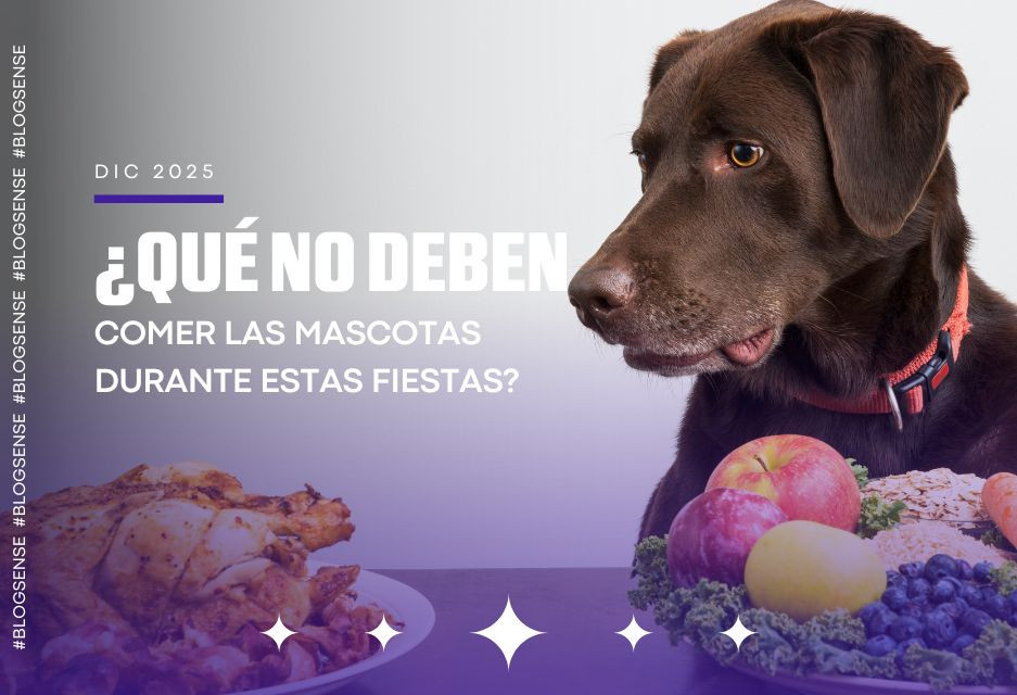 ¿Qué no deben comer las mascotas durante estas fiestas?